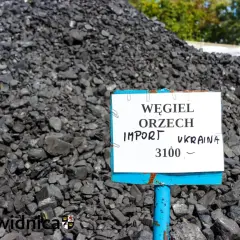 Na zwałowisku węgla orzech importowanego z Ukrainy tabliczka informuje, ile kosztuje tona węgla: 3100.
