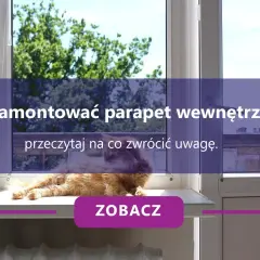 Kot na parapecie wewnętrznym. Dowiedz się, jak zamontować parapet i jaka jest jego cena.