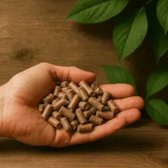 Garść pelletu drzewnego w dłoni, symbolizująca ekologiczne ogrzewanie. Sprawdź, jaka jest 1 tona pelletu cena.