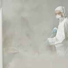 Jak wygląda dezynsekcja w bloku? Skuteczne metody i ważne wskazówki