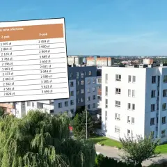 Ile kosztuje wynajem domu w Polsce? Ceny, które mogą zaskoczyć