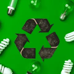 Różne rodzaje żarówek i symbol recyklingu. Pytanie: gdzie wyrzucić żarówki? Odpowiedź: do odpowiednich punktów zbiórki.