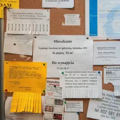 Gdzie zamieścić darmowe ogłoszenie o wynajmie mieszkania bez kosztów?