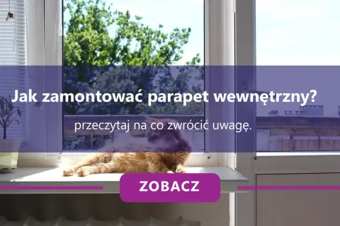 Kot na parapecie wewnętrznym. Dowiedz się, jak zamontować parapet i jaka jest jego cena.