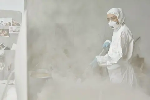Jak wygląda dezynsekcja w bloku? Skuteczne metody i ważne wskazówki