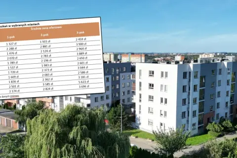 Ile kosztuje wynajem domu w Polsce? Ceny, które mogą zaskoczyć