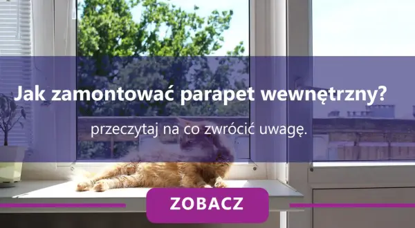 Kot na parapecie wewnętrznym. Dowiedz się, jak zamontować parapet i jaka jest jego cena.