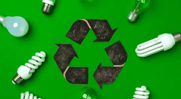 Różne rodzaje żarówek i symbol recyklingu. Pytanie: gdzie wyrzucić żarówki? Odpowiedź: do odpowiednich punktów zbiórki.