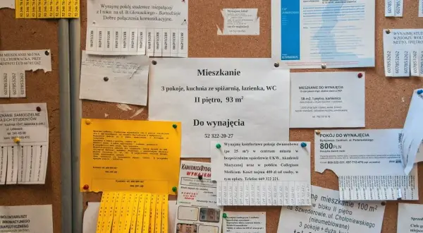 Gdzie zamieścić darmowe ogłoszenie o wynajmie mieszkania bez kosztów?