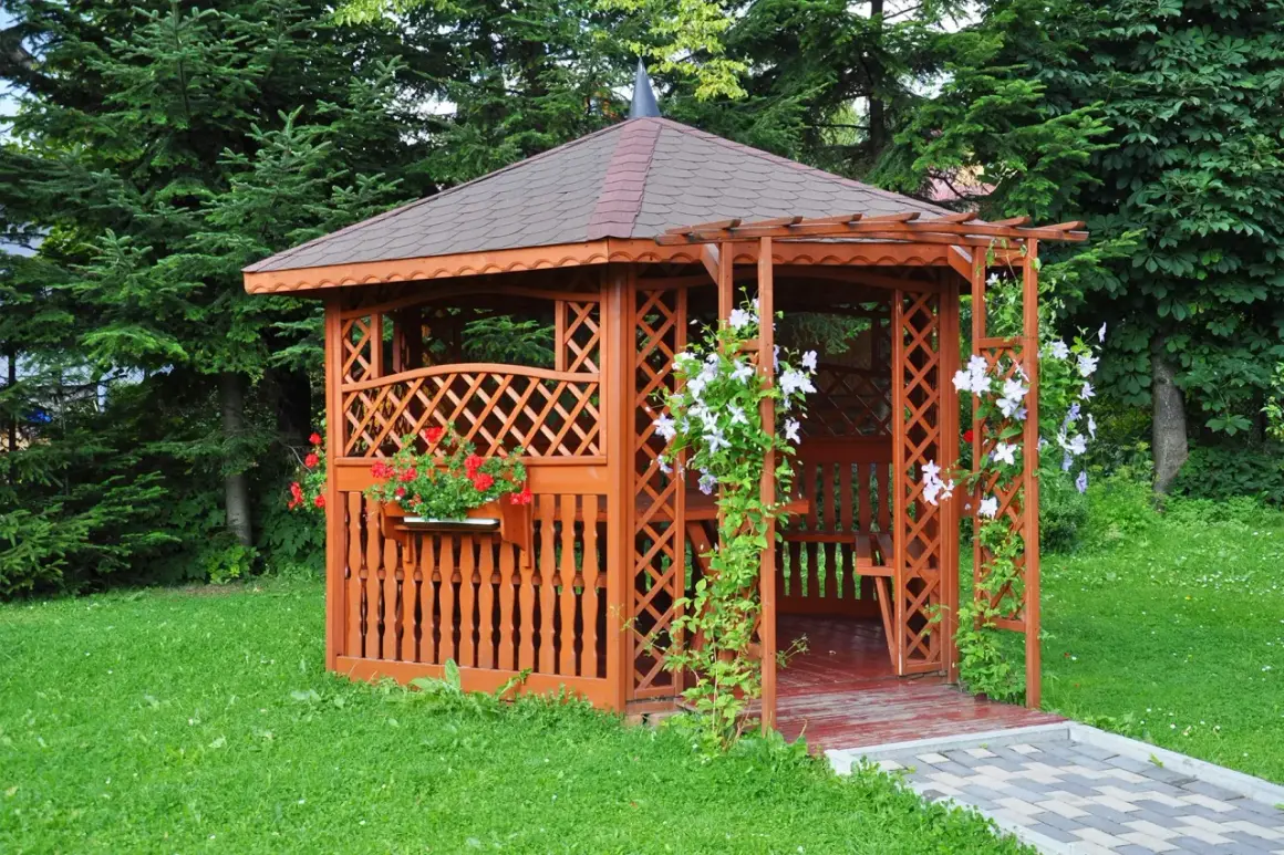 Urocza altana na działce ROD, otoczona zielenią, z kwitnącymi pnączami i pelargoniami. Idealne miejsce na relaks.