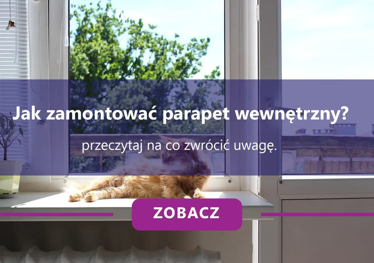 Kot na parapecie, tekst