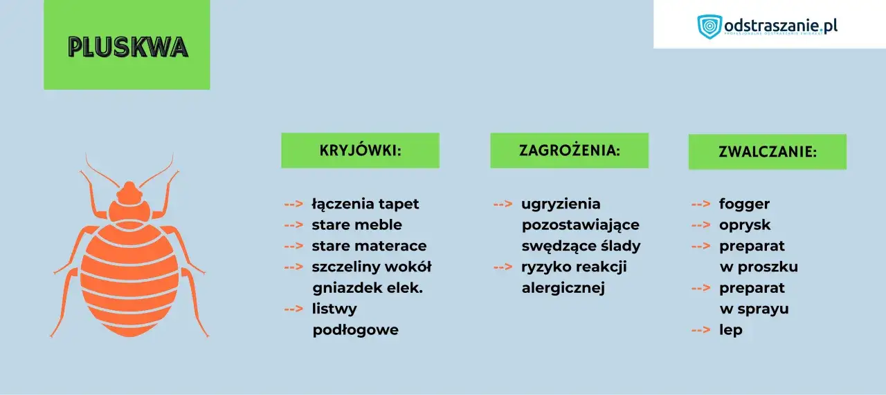 Pluskwa: rodzaje robaków w domu, ich kryjówki, zagrożenia (ugryzienia, alergie) i metody zwalczania (fogger, oprysk, preparaty).