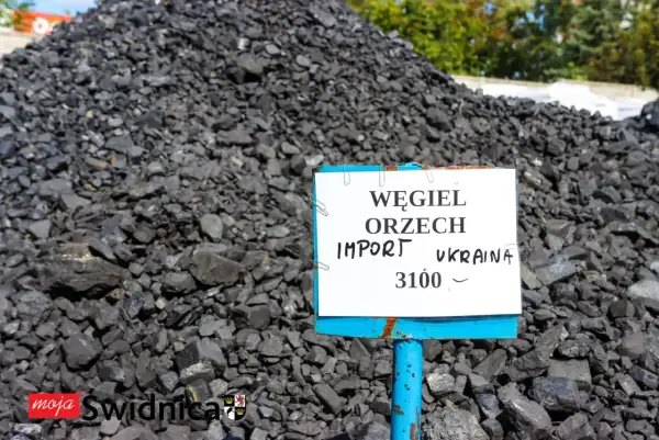 Na zwałowisku węgla orzech importowanego z Ukrainy tabliczka informuje, ile kosztuje tona węgla: 3100.